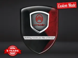 Citroen Adesivi Vetri Auto su Misura Durevoli Limitati Multiuso